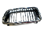 Image of GRILLE LEFT. CHROM image for your 2007 BMW 528xi   